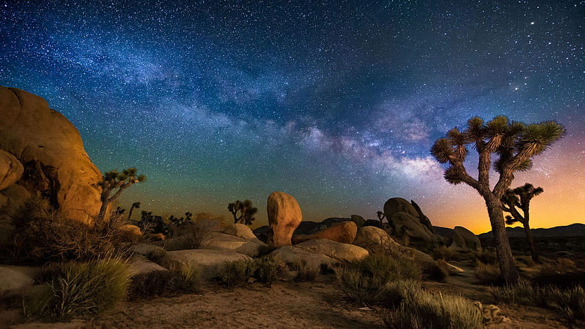 Starry Sky Desert Area Night In Joshua Tree National Park California Usa For 1920x1200 : 13, desert tree sky HD wallpaper