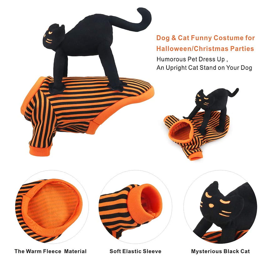 cheap in high quality Idepet Halloween Dog Costumes,Dog Costume Suit with Unique Black Cat Design Puppy Clothes for Christmas Halloween Party, Etc.XL HD phone wallpaper