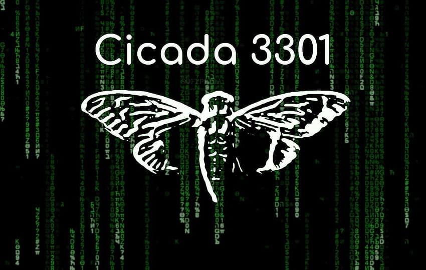 Mystery of Cicada 3301 HD wallpaper