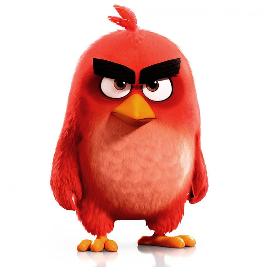 Angry Birds Red 26053, the angry birds movie 2 HD phone wallpaper