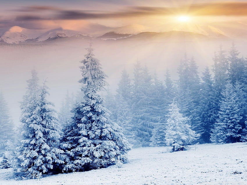 Most Beautiful Winter Season, prettiest winter HD wallpaper