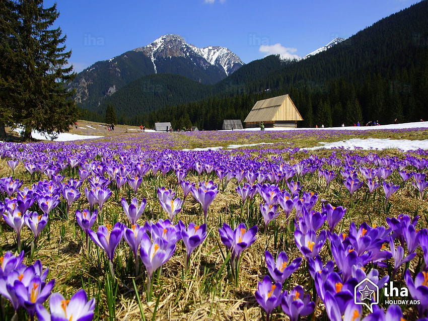 Tatra National Park rentals for your vacations with IHA direct HD wallpaper