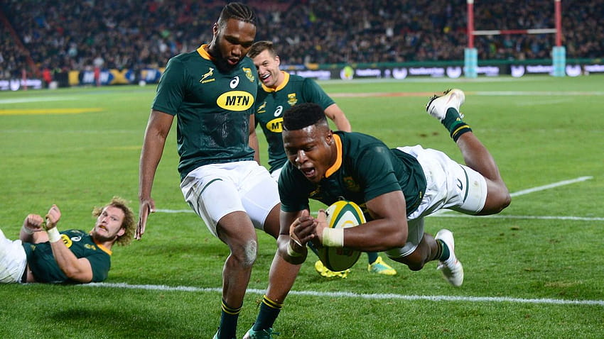 Aphiwe Dyantyi се провали на теста за наркотици: Звездното крило на Южна Африка разтърсва спорта седмици преди Световната купа по ръгби, Южна Африка по ръгби HD тапет