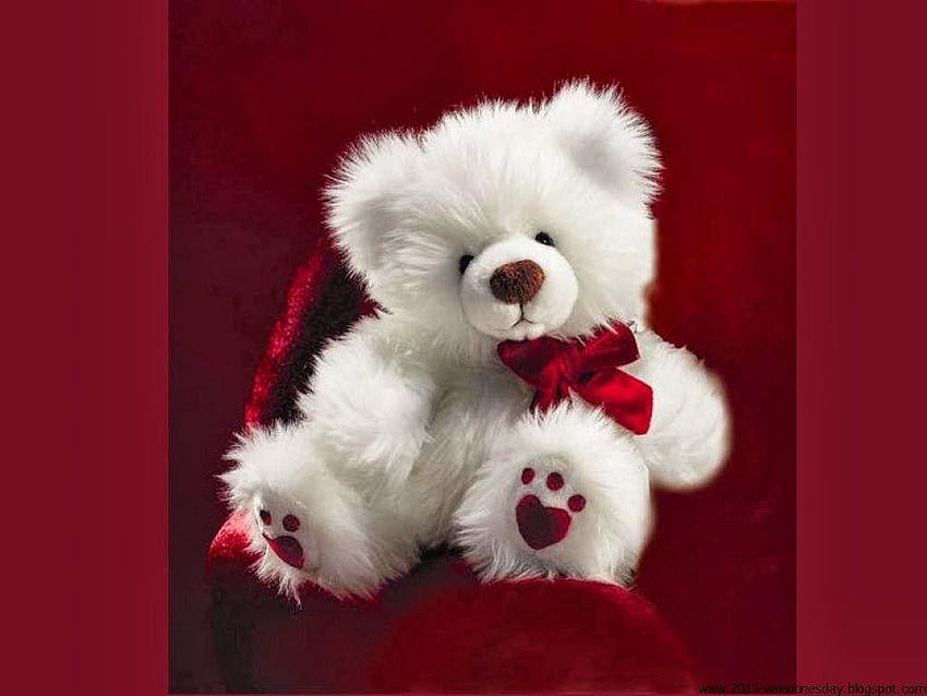 loving2you: Lovely And Beautiful Teddy Bear, teddybear HD wallpaper