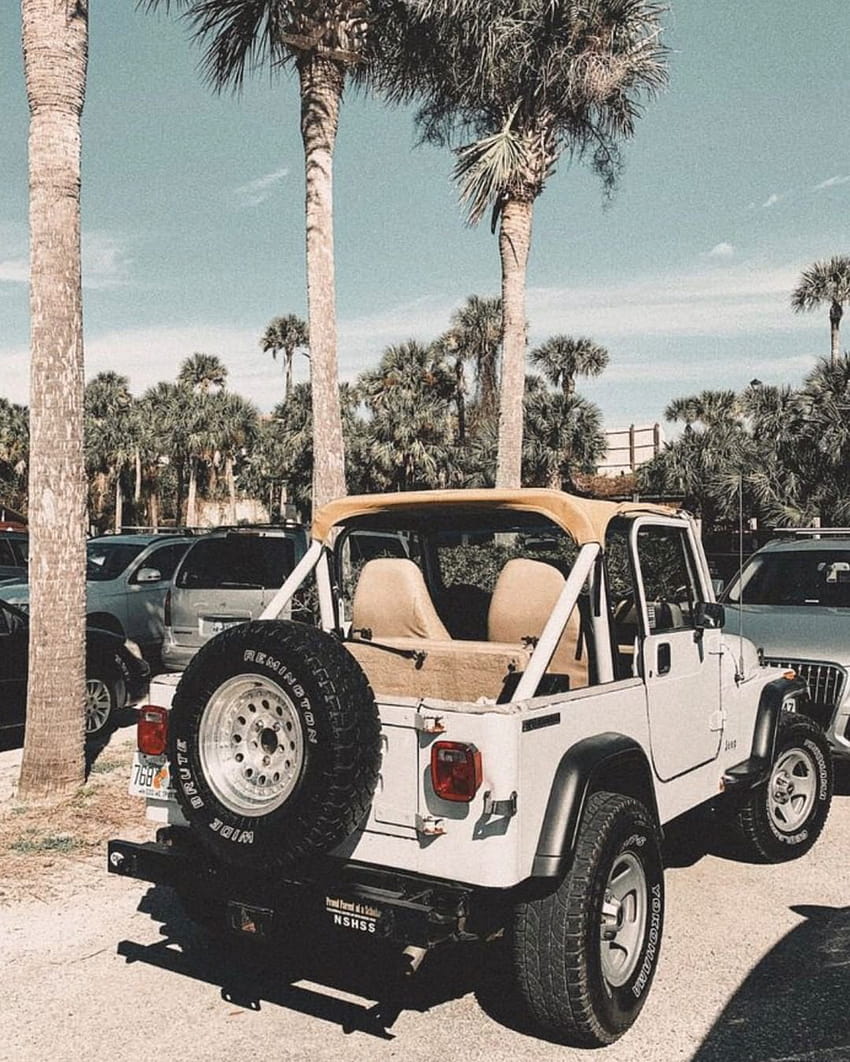 west coast, palm trees, california aesthetic, beach aesthetic, travel graphy, travel blogger, california travel…, aesthetic jeep HD phone wallpaper