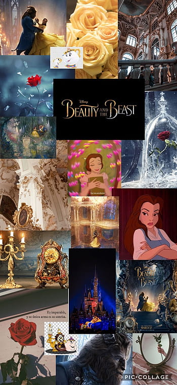 23 Disneys Beauty and the Beast Wallpapers ideas  beauty and the beast  wallpaper beast wallpaper beauty and the beast