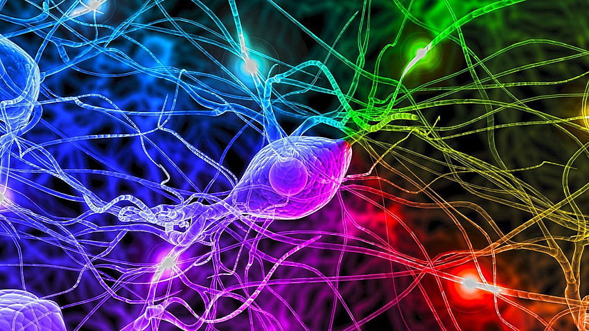Neuroscience Backgrounds HD wallpaper