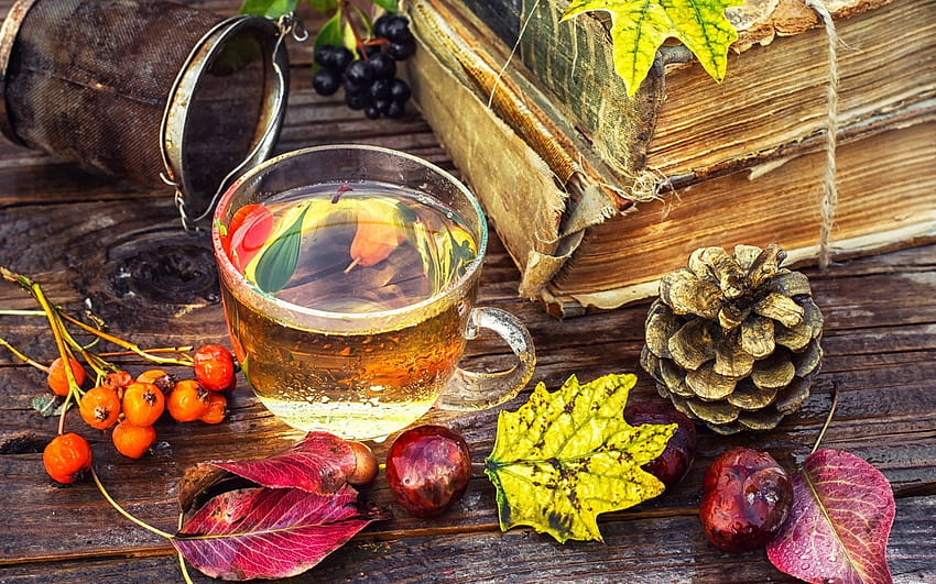 есен, листа, чаша чай, стари книги, кестени с резолюция 1920x1200. Висококачествена есенна чаша за чай HD тапет