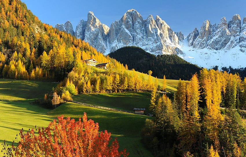 Natur, Gebirge, Herbst, Wald, Alpen, Wiese, Italien, Landschaft, Dolomiten, Gröden, Abschnitt природа, Herbstwiese HD-Hintergrundbild