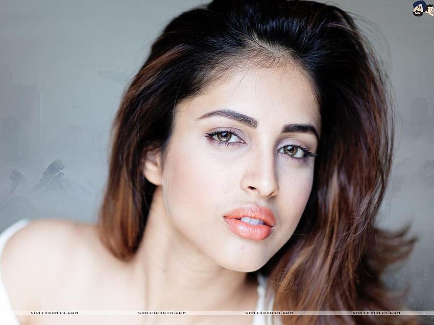Hot Bollywood Heroines & Actresses I Indian Models, priya banerjee HD wallpaper