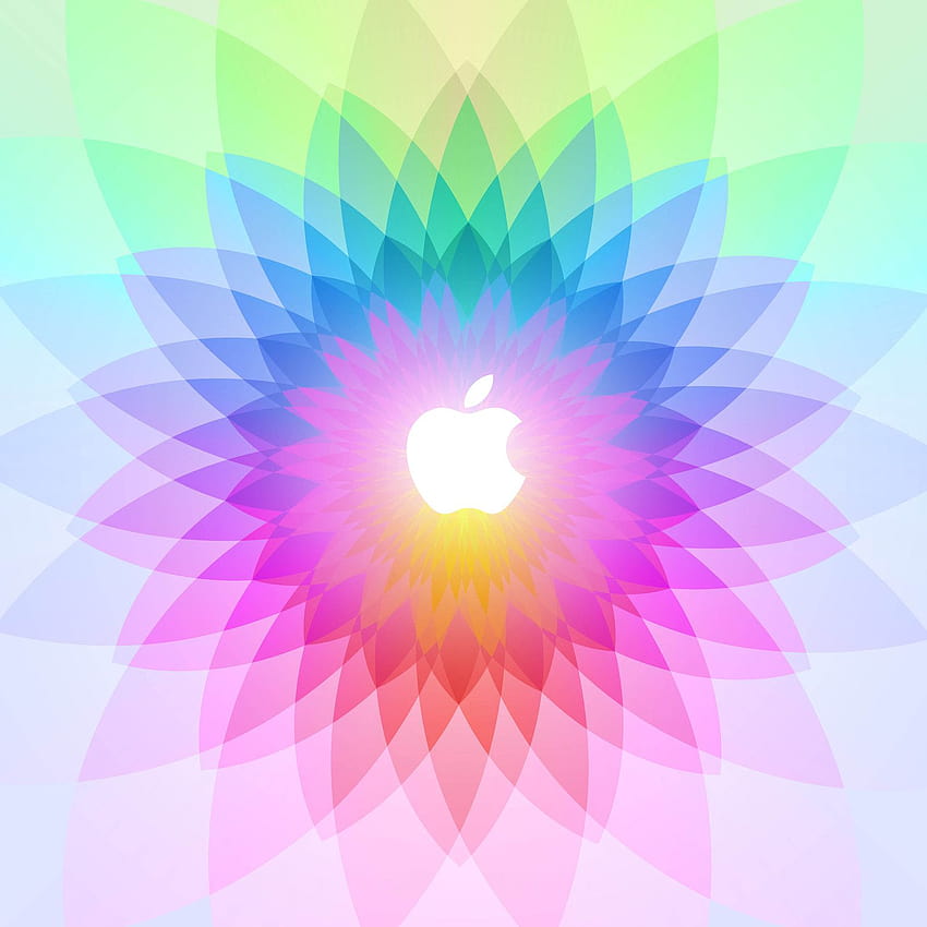 Here are your Spring Forward for iPhone iPad and [1600x1600] for your , Mobile & Tablet HD phone wallpaper