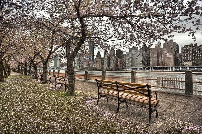 NYC Spring, spring town HD wallpaper