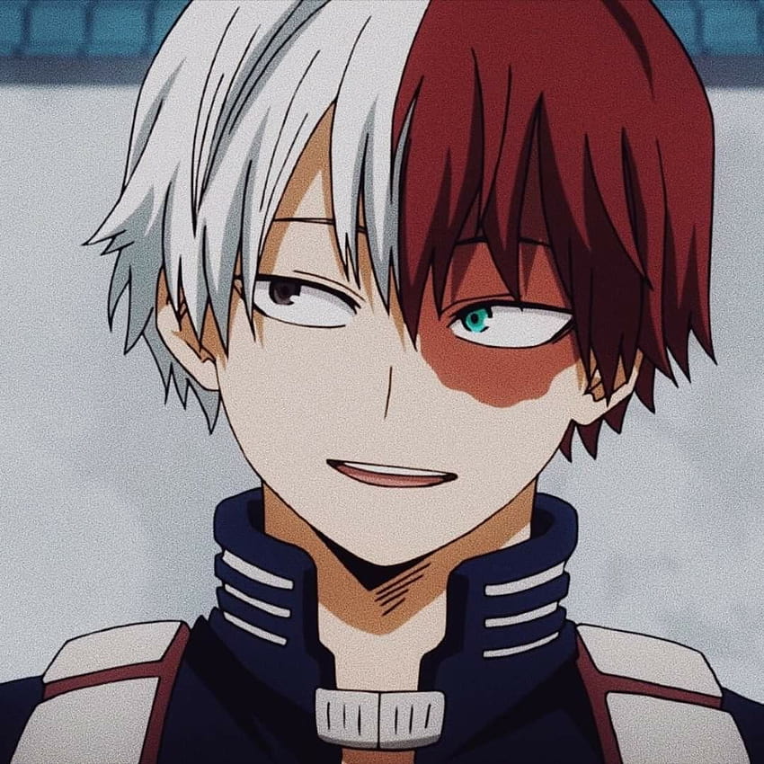 Download Anime Profile Picture Shoto Todoroki Wallpaper