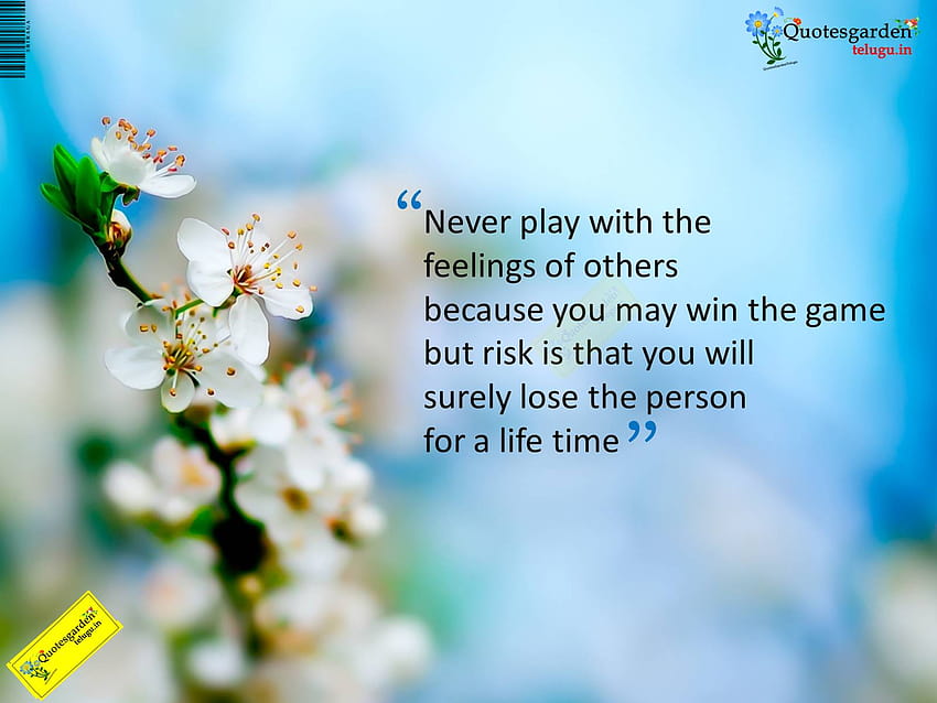 Never play with the feelings of others., beautiful life quotes HD wallpaper