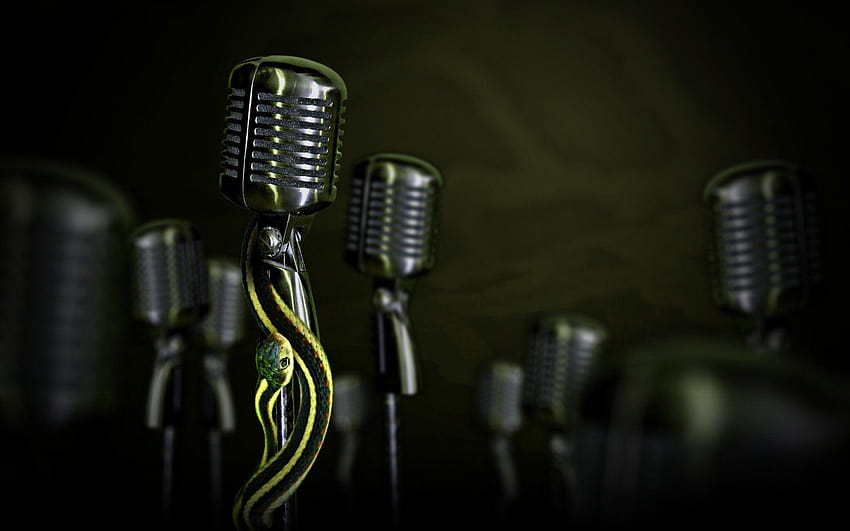 Microphone 11, microphone stands HD wallpaper