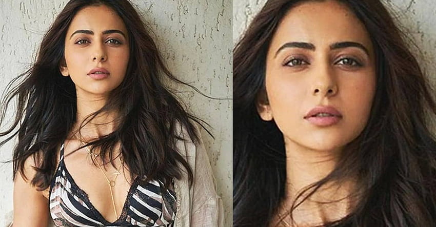 With 7 releases lined up, Rakul Preet Singh finds 2022 one of her best years HD wallpaper
