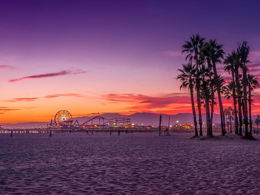 Palm Trees Digital , Beach, Los Angeles, Sunset, Sky • For You, 로스앤젤레스 일몰 HD 월페이퍼