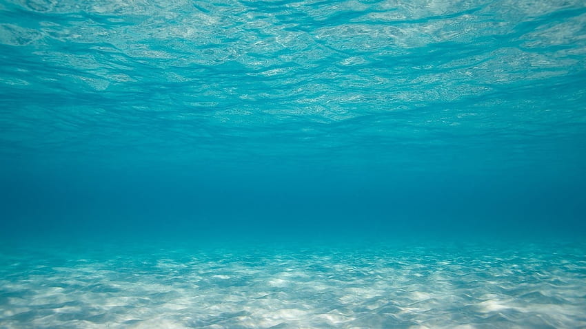 Under Ocean High Definition As, wewnątrz oceanu Tapeta HD