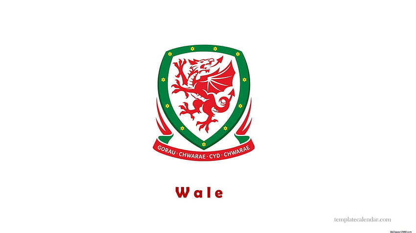 UEFA Euro 2016 Wales, wales national football team HD wallpaper
