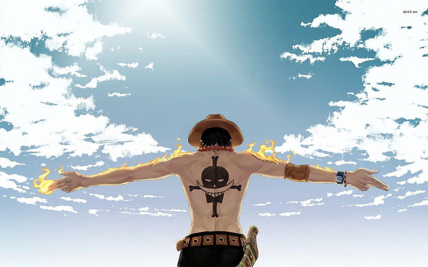 One Piece Ace, млад ас HD тапет