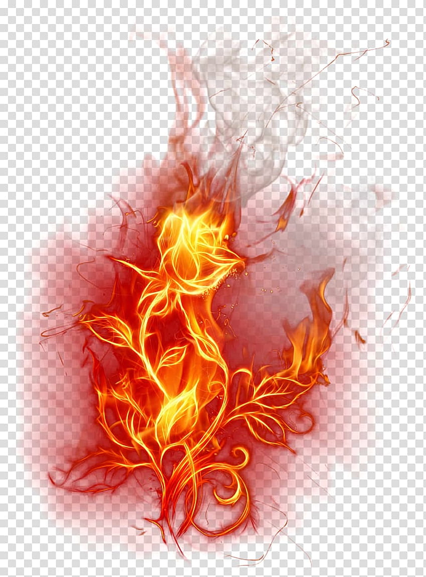 Red fire, Flame Fire Combustion , Burning Rose transparent, burning alphabets HD phone wallpaper