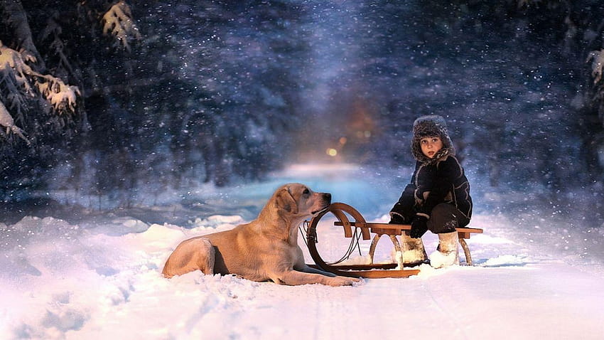 Holidays christmas winter snow seasons seasonal roads snowing, christmas dog light HD wallpaper