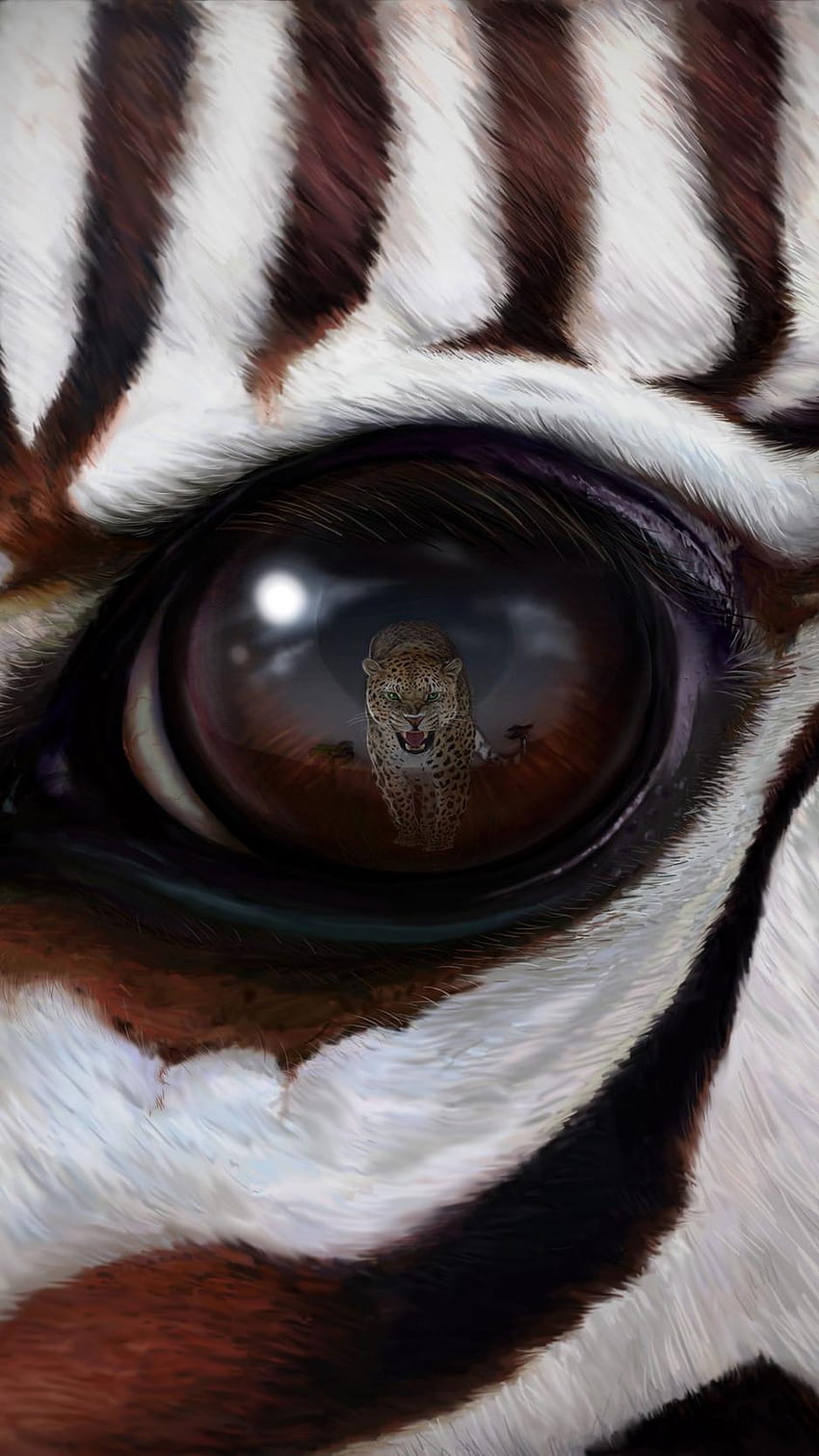 938x1668 zebra, eye, reflection, leopard, red zebra iphone HD phone wallpaper