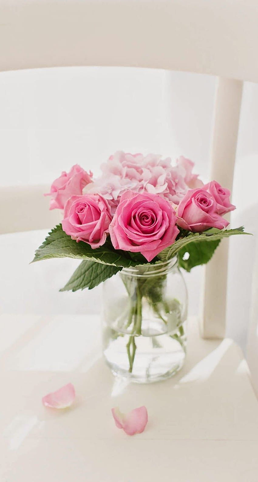 Różowy kwiat róży iPhone 6 Plus, różowy różany iPhone Tapeta na telefon HD