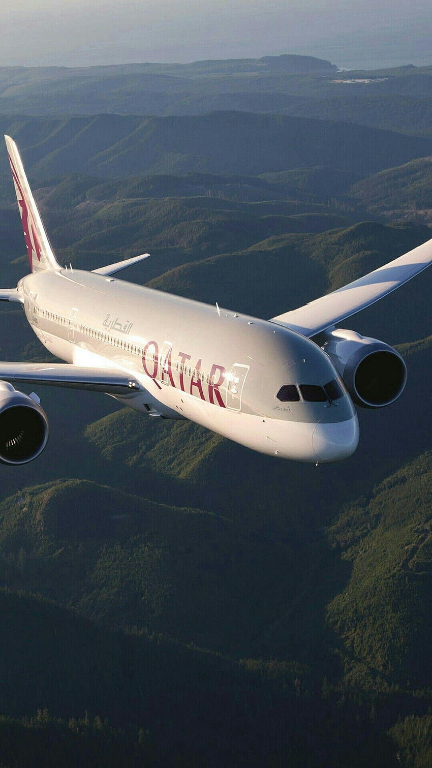 Qatar Airways, boeing 787 wallpaper ponsel HD