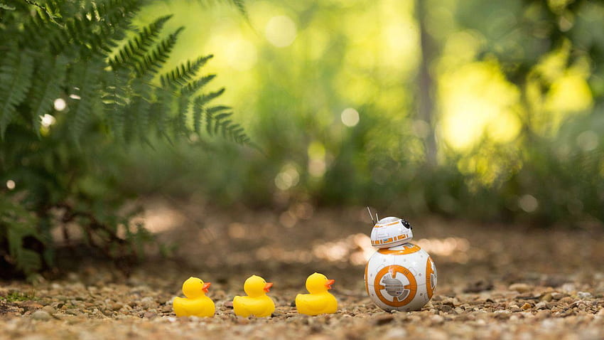 BB8 With Ducks 2016 in Star Wars HD wallpaper