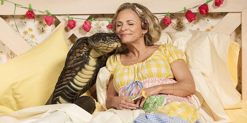 At Home With Amy Sedaris' Finds Radical Comedy in Homemaking HD wallpaper