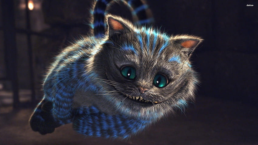 Cheshire Kedisi, alice kedisi HD duvar kağıdı