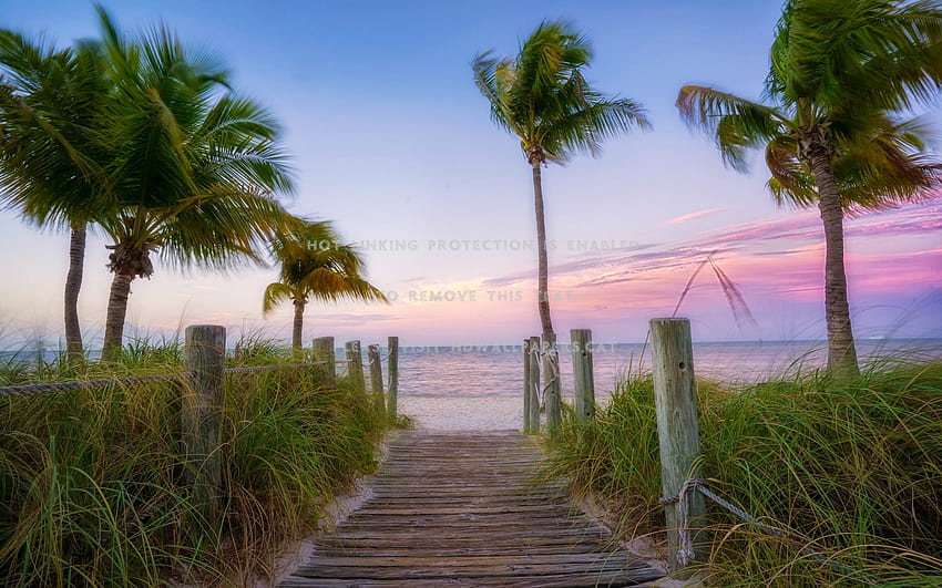 key west florida usa palms beach alam, lanskap florida Wallpaper HD