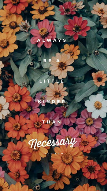 Aesthetic flower with quotes HD wallpapers | Pxfuel