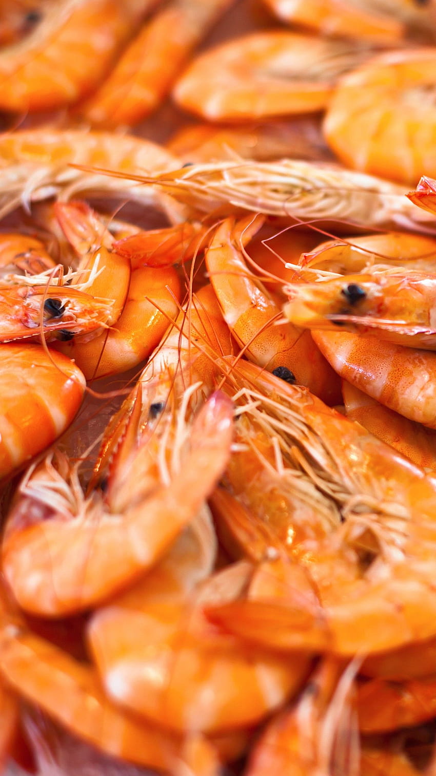 shrimp, Food, prawn HD phone wallpaper