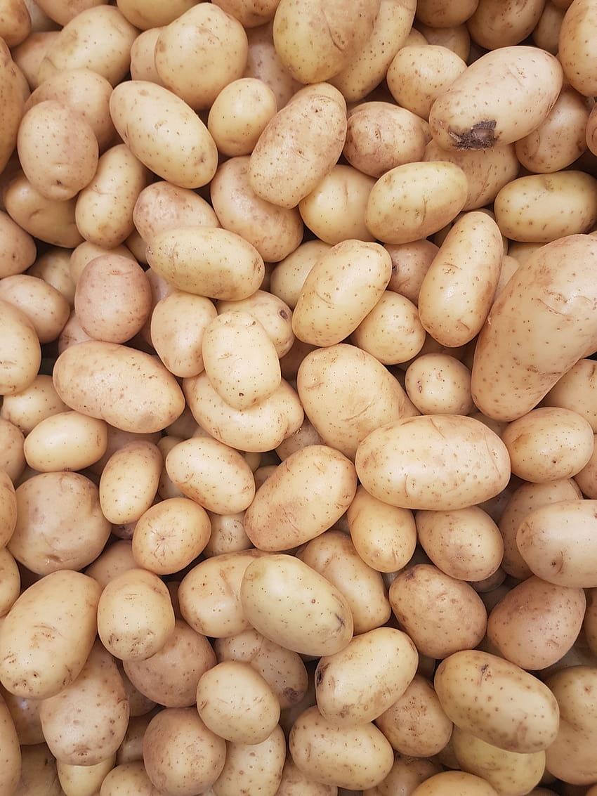 Brühe aus Kartoffeln, Kartoffelbohne HD-Handy-Hintergrundbild