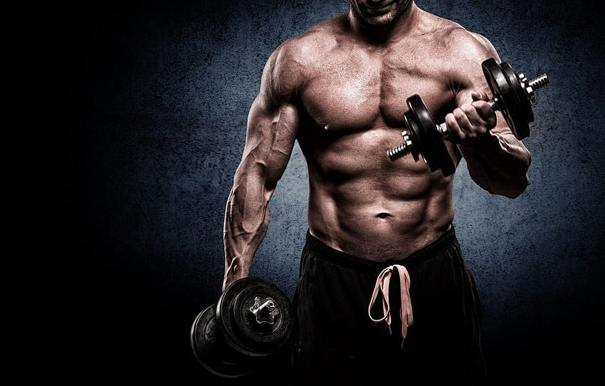 músculo, homem, ginásio, fisiculturista, barra, seção мужчины, homens musculosos papel de parede HD