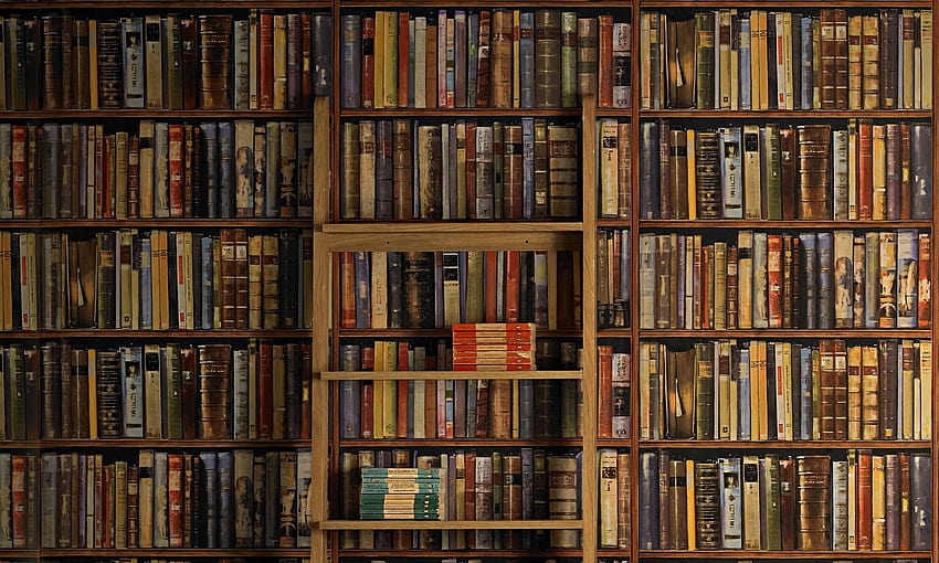 Rich Library of Old Books 2060x1236, 오래된 도서관 HD 월페이퍼