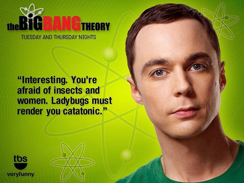 The Big Bang Theory Cast, bbt HD wallpaper | Pxfuel