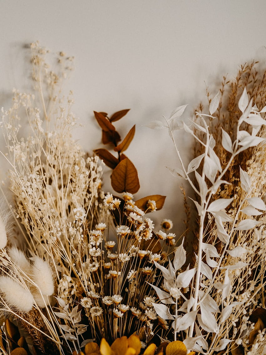 Aesthetic Flower Brown posted by Ryan Simpson, dried flower HD phone wallpaper