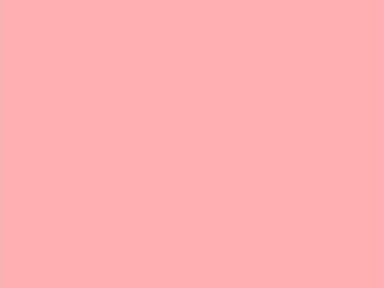 Light Pink Solid Photo Studio Backdrops Planos De Fundo Interativos  Paletas De Cores Neutras Fundo Para Texto  svrtravelsindiacom