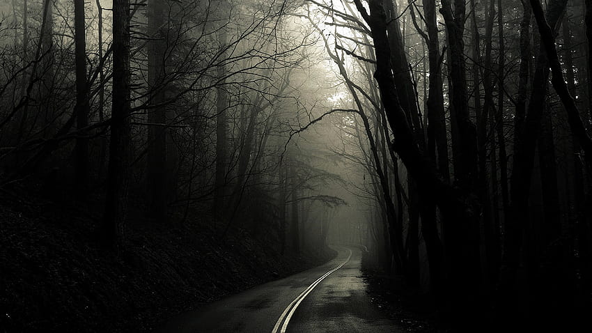 Scary Road [1920x1200] for your , Mobile & Tablet HD wallpaper
