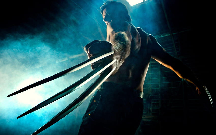 Wolverine X Men Tapeta HD