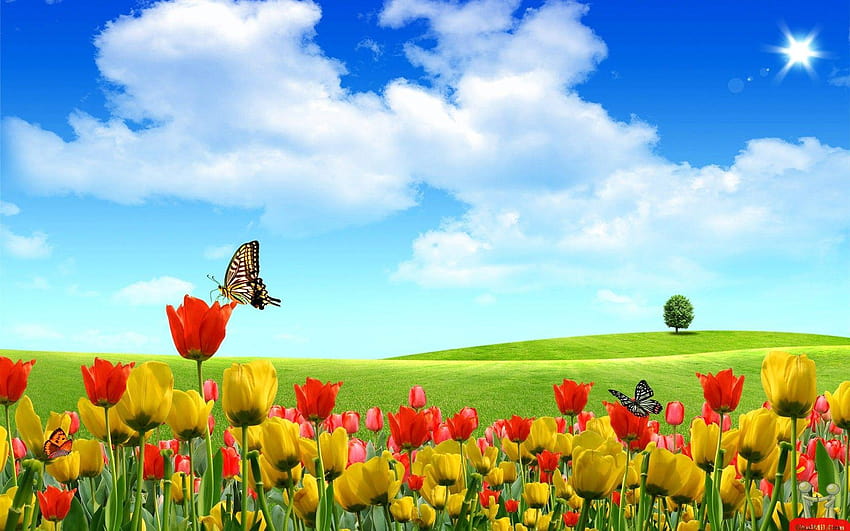 These 3D of nature are the best of the best and make sure, 3d nature HD wallpaper
