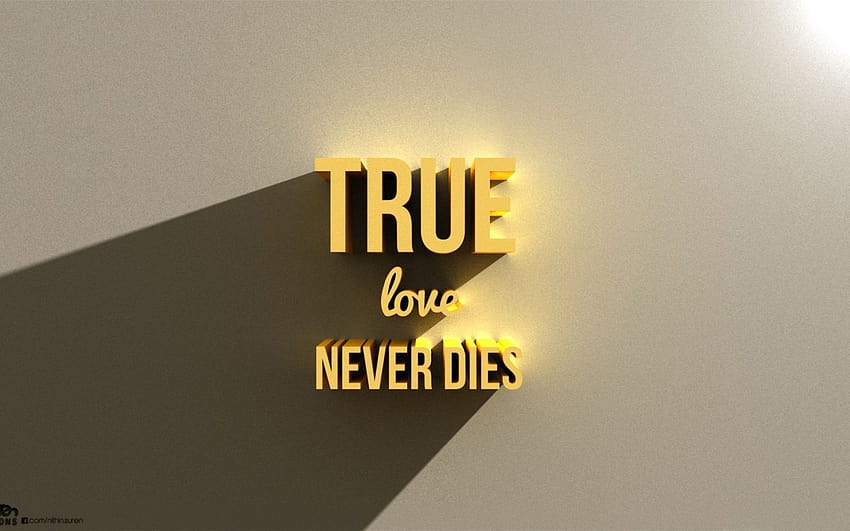 true-love-never-dies-mac-cool-love-never-ends-hd-wallpaper-pxfuel