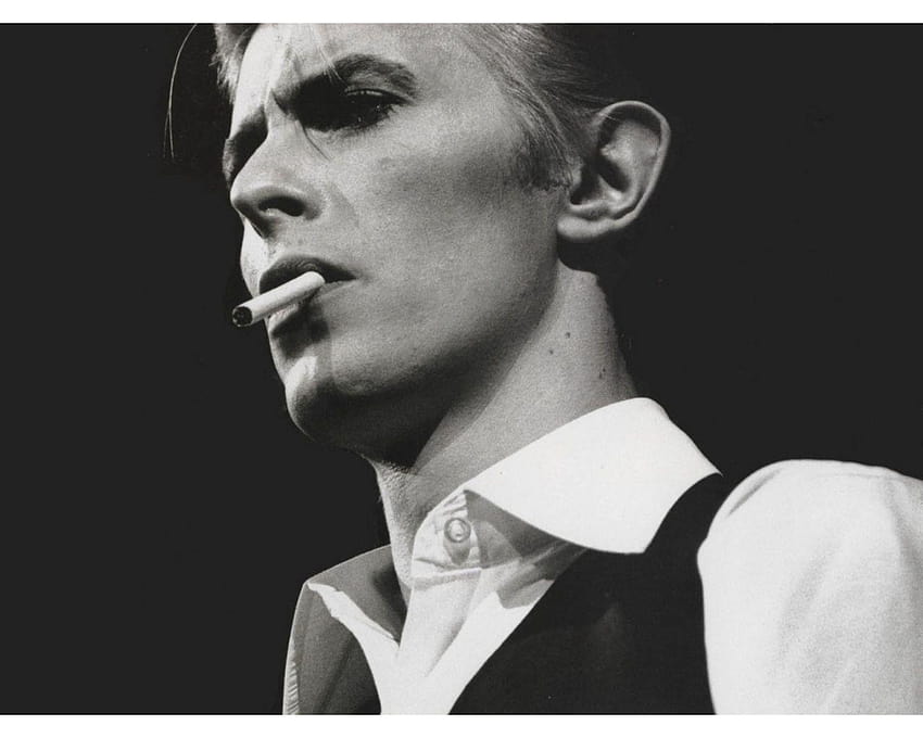 David Bowie Tapeta HD