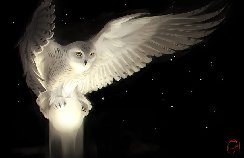 digital art, Owl / and Mobile &, night owl HD wallpaper