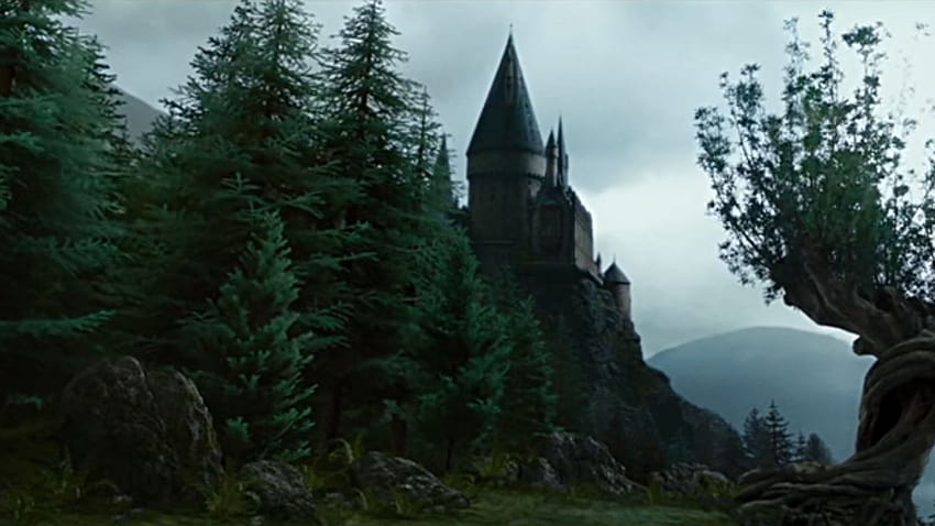 Only a Hogwarts Student Can Ace This, the forbidden forest harry potter HD wallpaper