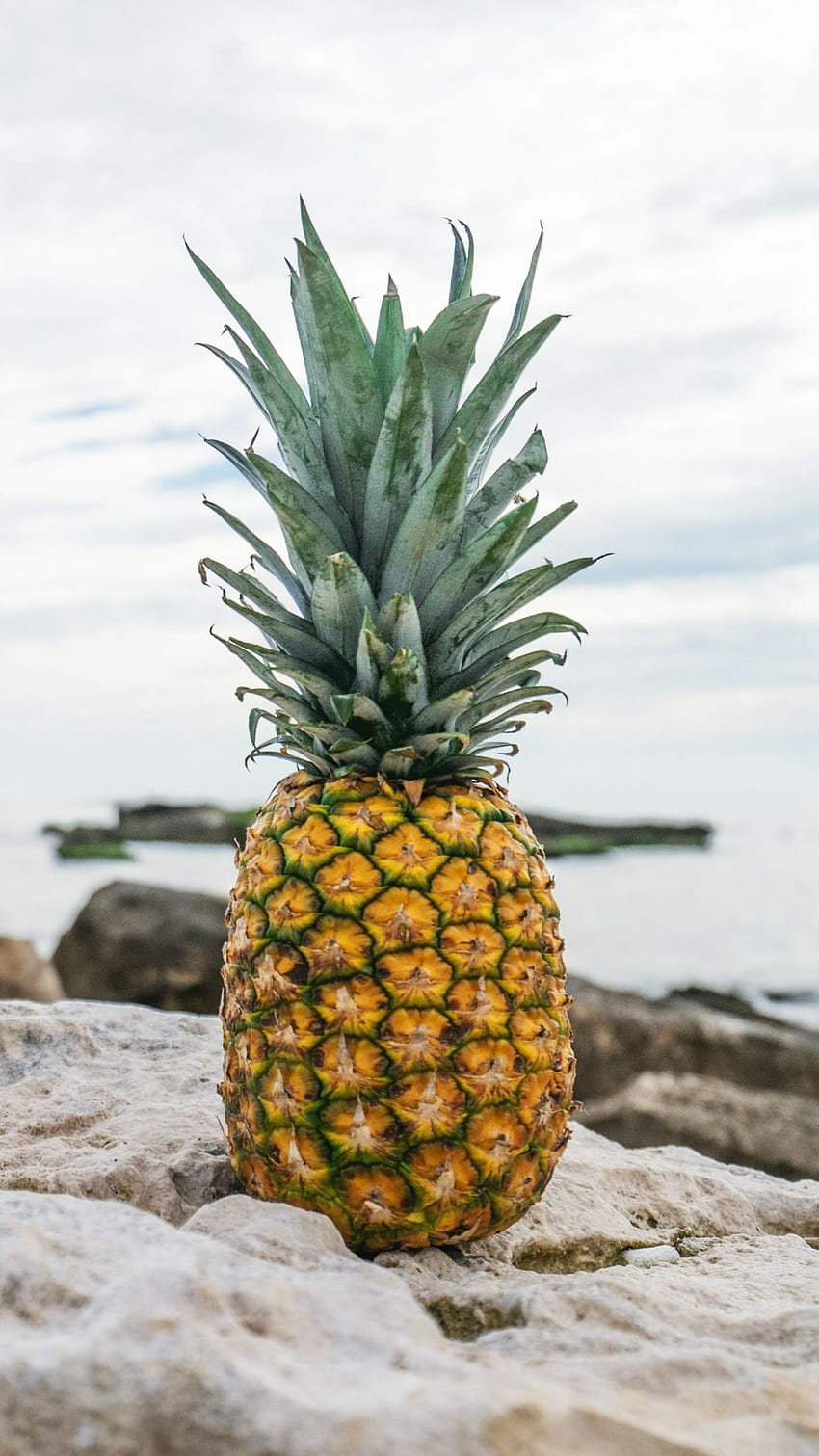 pineapple, fruit, stones, beach, Food, pineapple music HD phone wallpaper