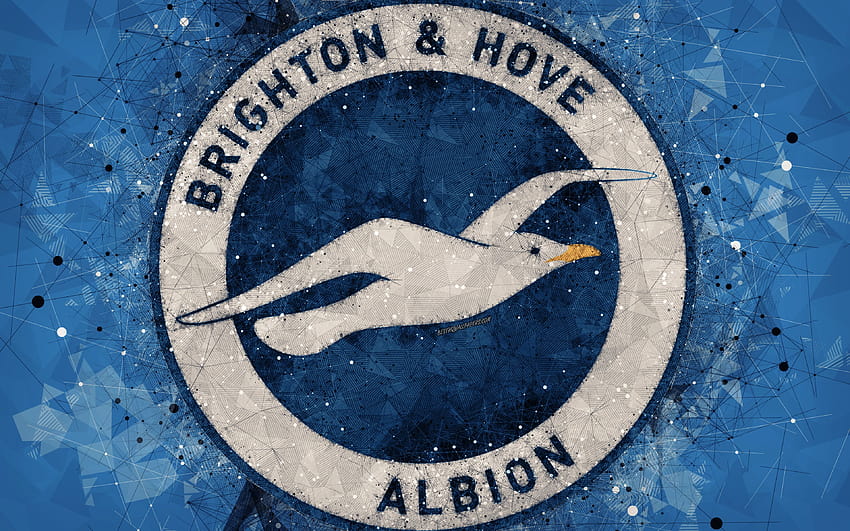 Brighton and Hove Albion FC, logo, geometric, brighton hove albion fc HD wallpaper